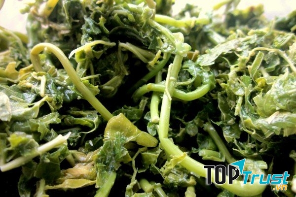 Rau sắn Phú Thọ