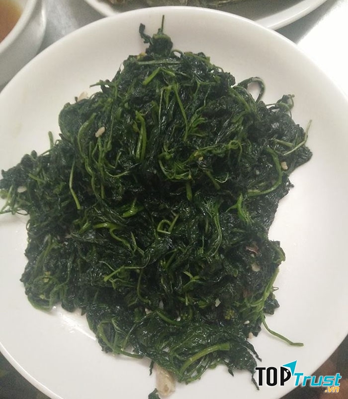 Rau tầm bóp