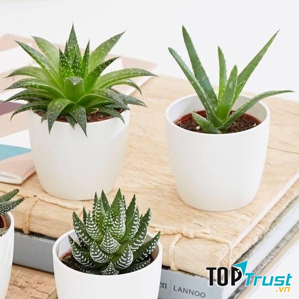 Tâm trạng quyết định đến giấc ngủ rất nhiều