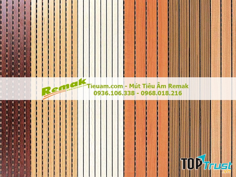 Remak là nhà sản xuất cung ứng đến 90% sản lượng toàn thị trường về các vật liệu tiêu âm