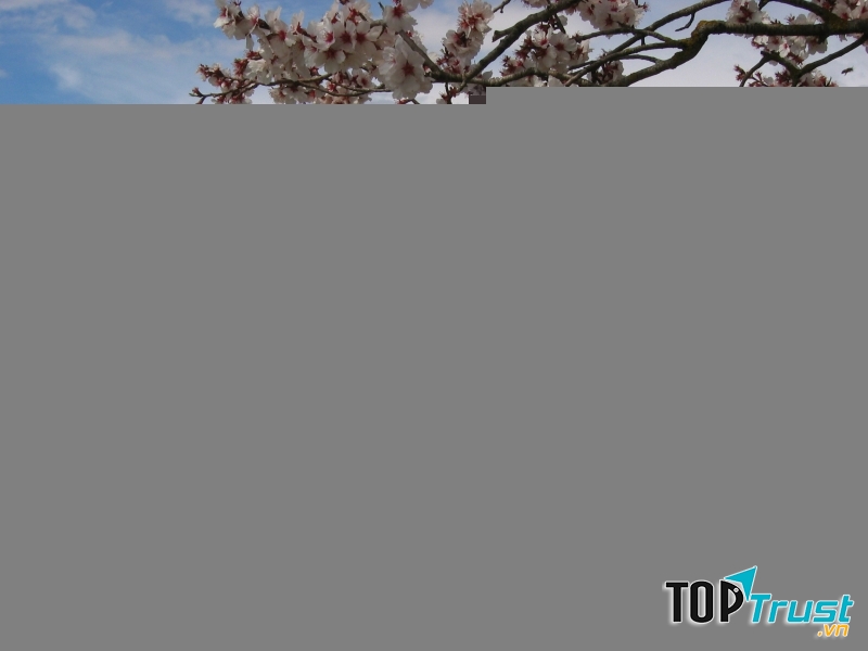 Rennes-le-Chateau, Pháp