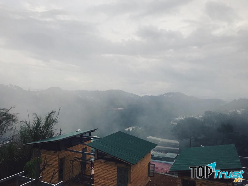 Reply1994 Dalat