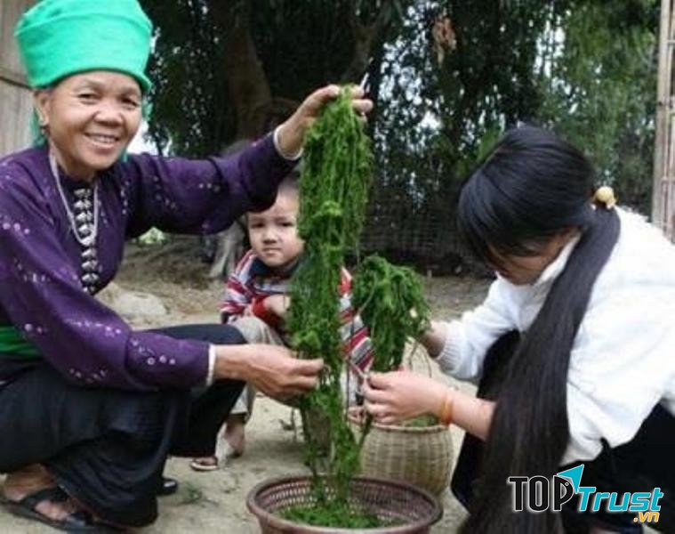 Rêu được rửa sạch sẽ