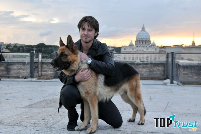 Rex - Chú Chó Thám Tử