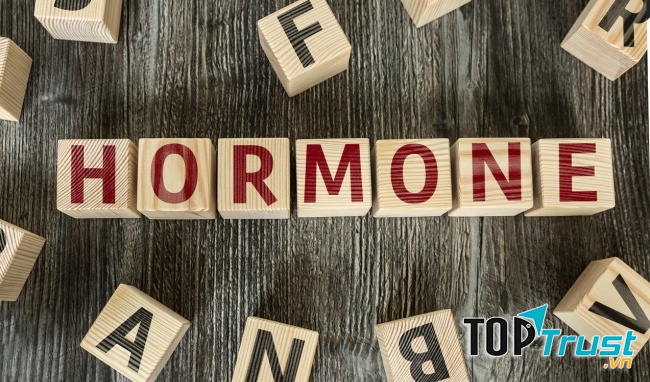 Hormone cũng ảnh hưởng trực tiếp đến sức khỏe của tóc