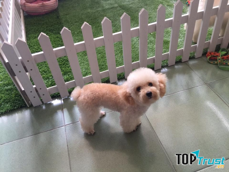 Ở đây thật thoải mái