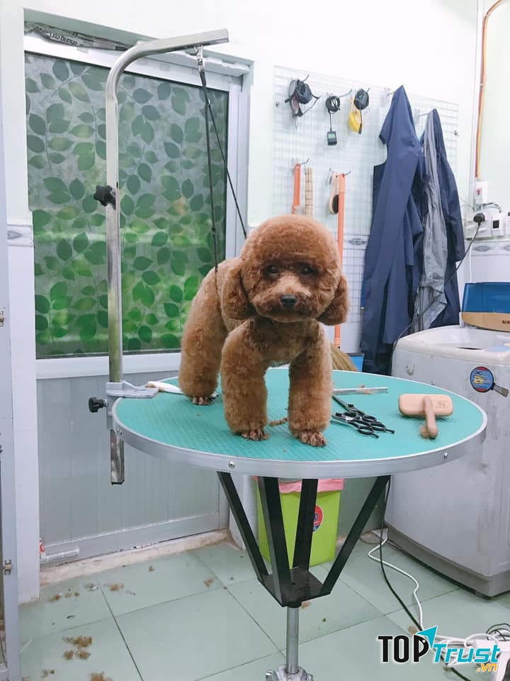 Rơm Ơi Pet Care