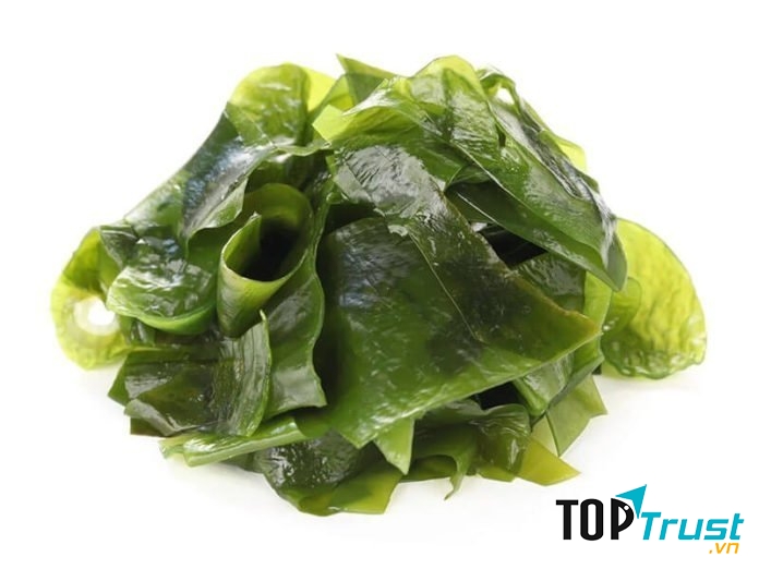 Rong biển phòng chống ung thư.