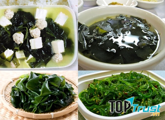 Rong biển Mỹ Khê