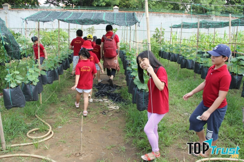 RỒNG VIỆT EDUCATION