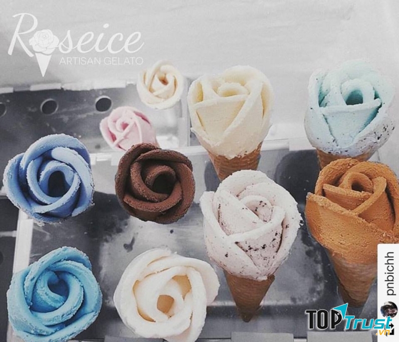 Roseice Saigon