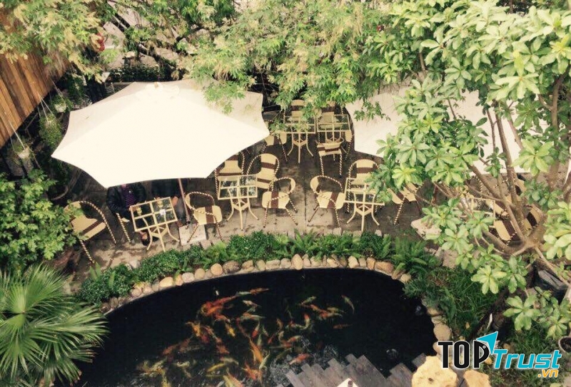 Không gian cây xanh tươi mát