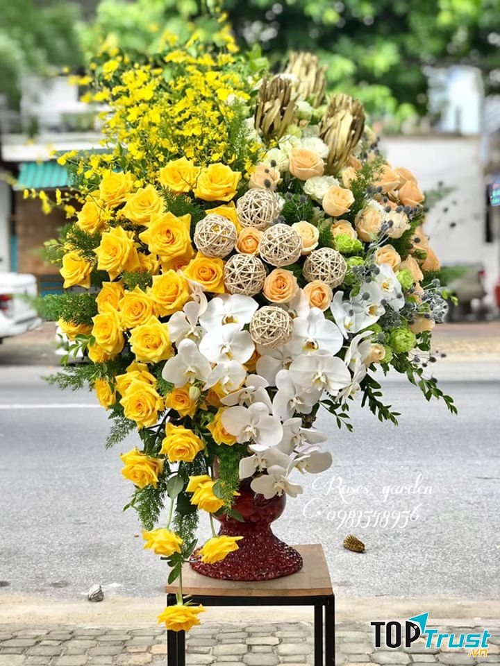 Hoa nhà Roses garden - rực rỡ và sang trọng