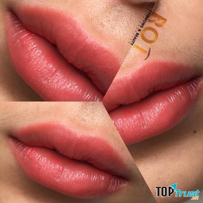 Rot Eyebrows & Beauty