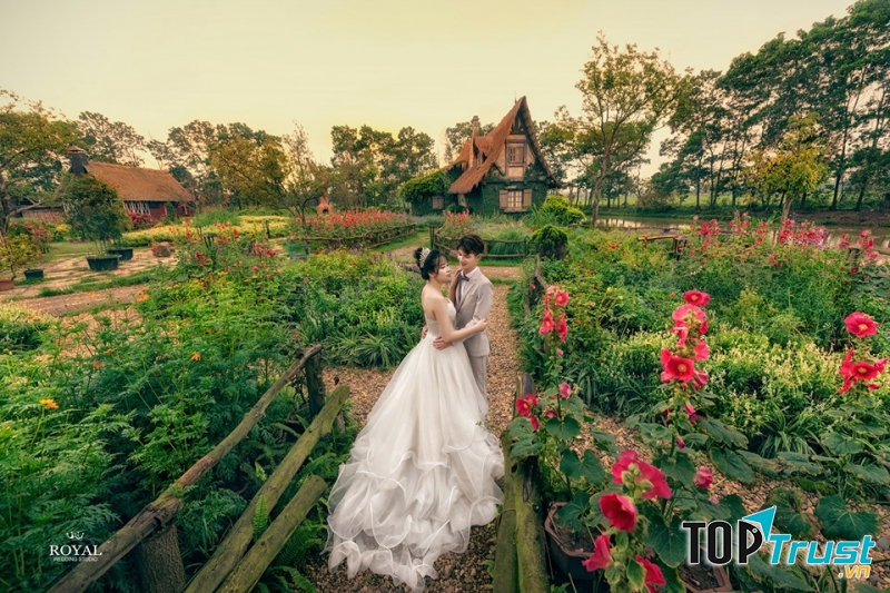 Royal Wedding