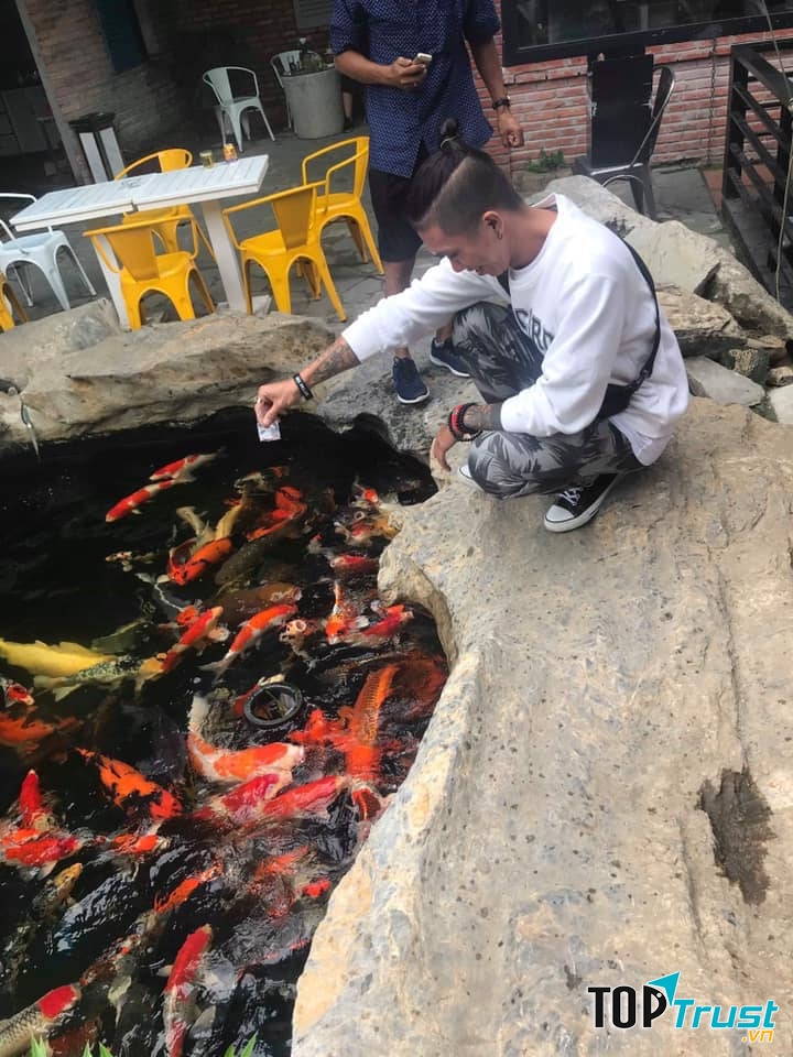 Ruby Koi Farm Coffee