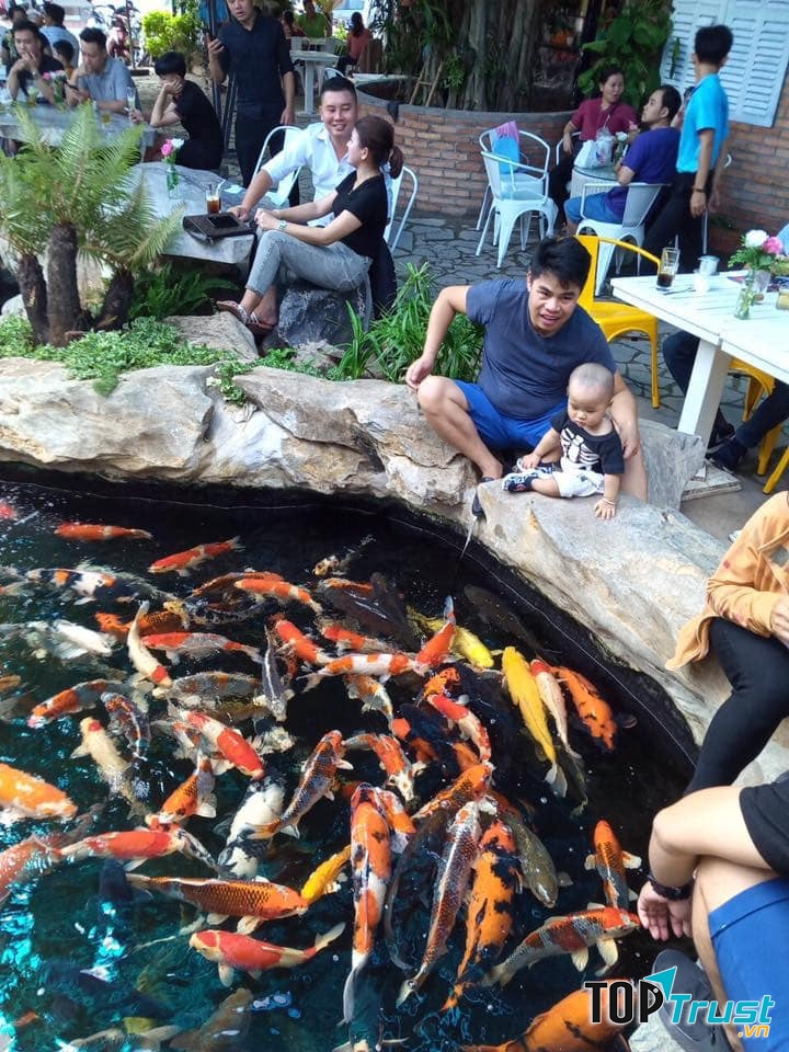Ruby Koi Farm Coffee