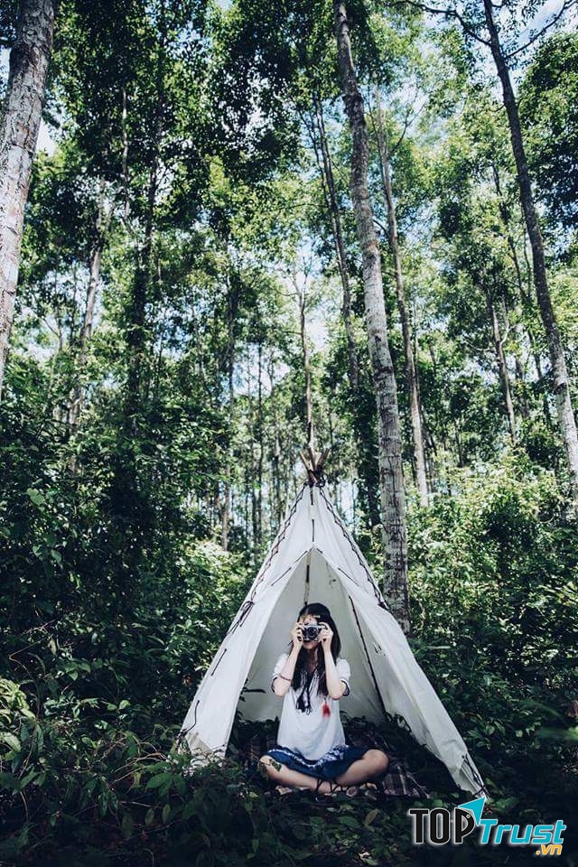 Cắm trại giữa rừng sao hoang sơ