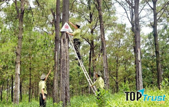 Rừng Chàng Riệc