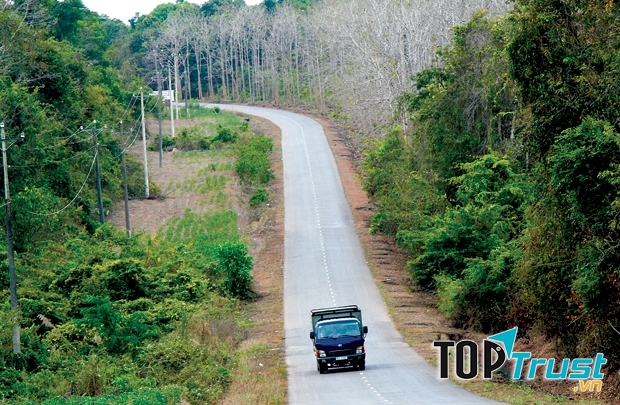 Đường đến rừng Chàng Riệc