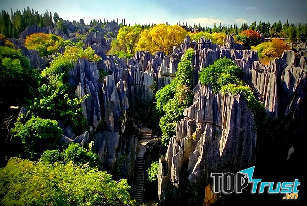 Rừng đá, Trung Quốc