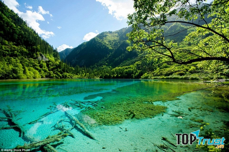 Rừng Jiuzhaigou