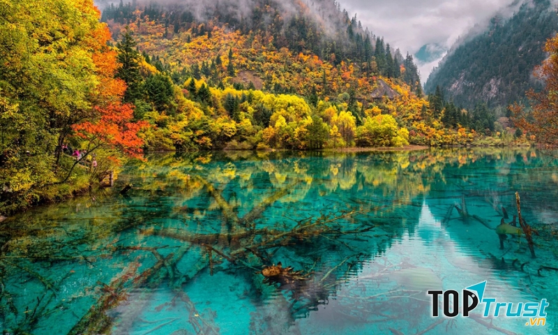 Năm 1992, Jiuzhaigou đã được UNESCO công nhận là 1 trong những di sản thiên nhiên thế giới.