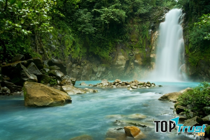 Rừng Monteverde được ví như một viên ngọc quý màu xanh lục