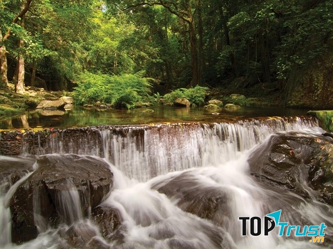 Rừng nhiệt đới Daintree