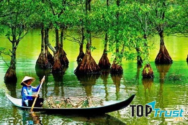 Rừng nguyên sinh ngập mặn ở Cần Giờ