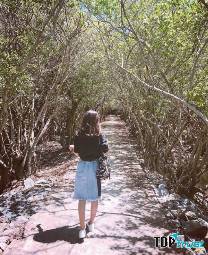 Rừng nguyên sinh Rú Chá