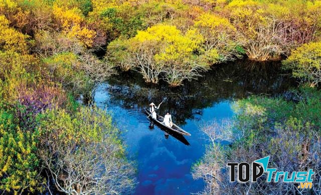 Rừng Rú Chá thật nên thơ