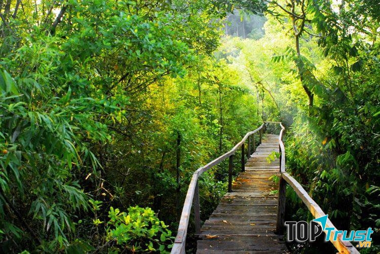 Rừng nguyên sinh Tây Cát Tiên