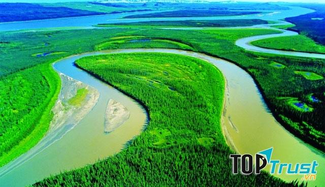 Rừng nhiệt đới Amazon