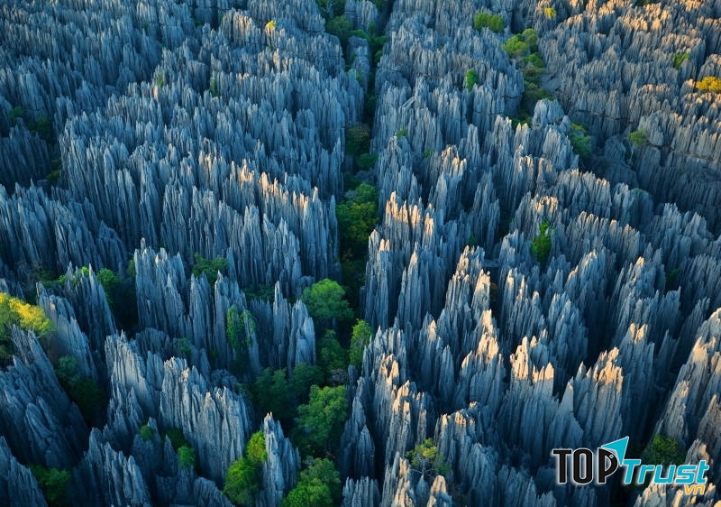 Rừng núi đá Madagascar