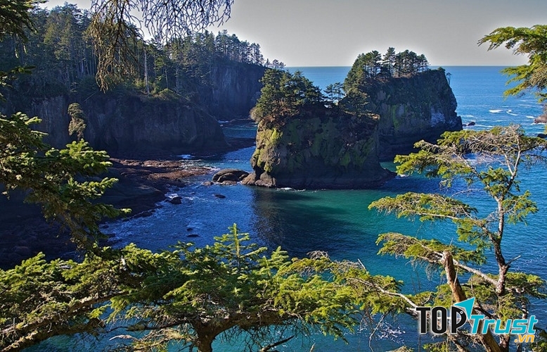 Rừng Olympic quốc gia, Hoa Kỳ