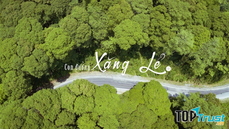 Rừng Săng lẻ