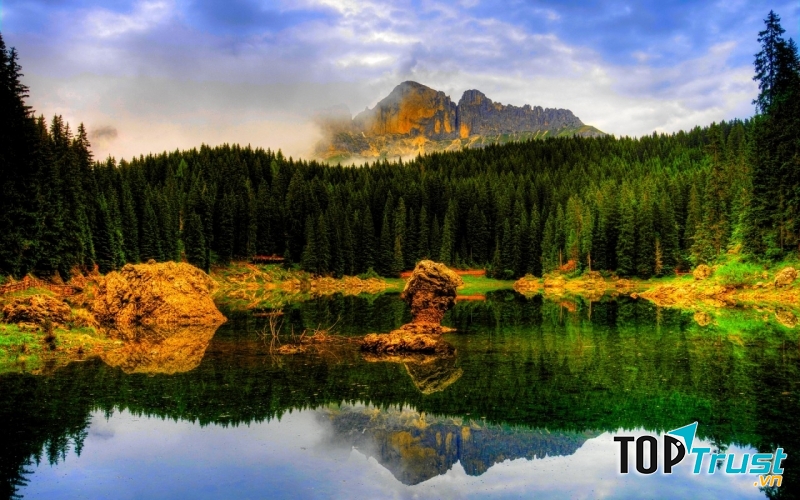 Rừng thông Bản Áng