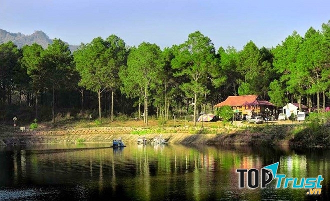 Rừng thông Bản Áng