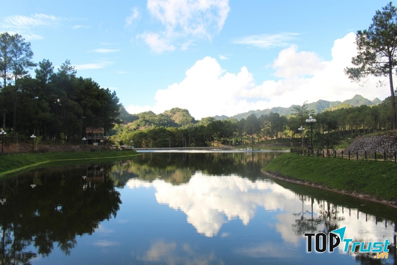 Rừng thông Bản Áng