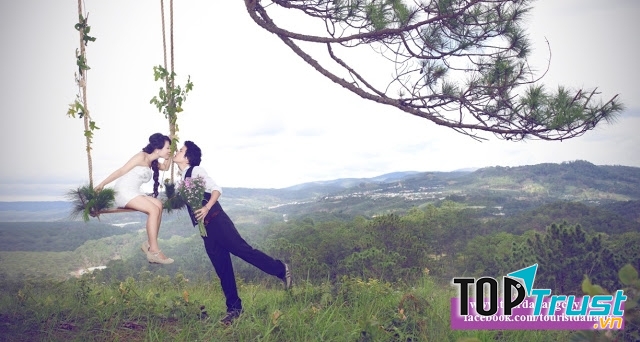 khu rừng thông thơ mộng ở Đà Nẵng