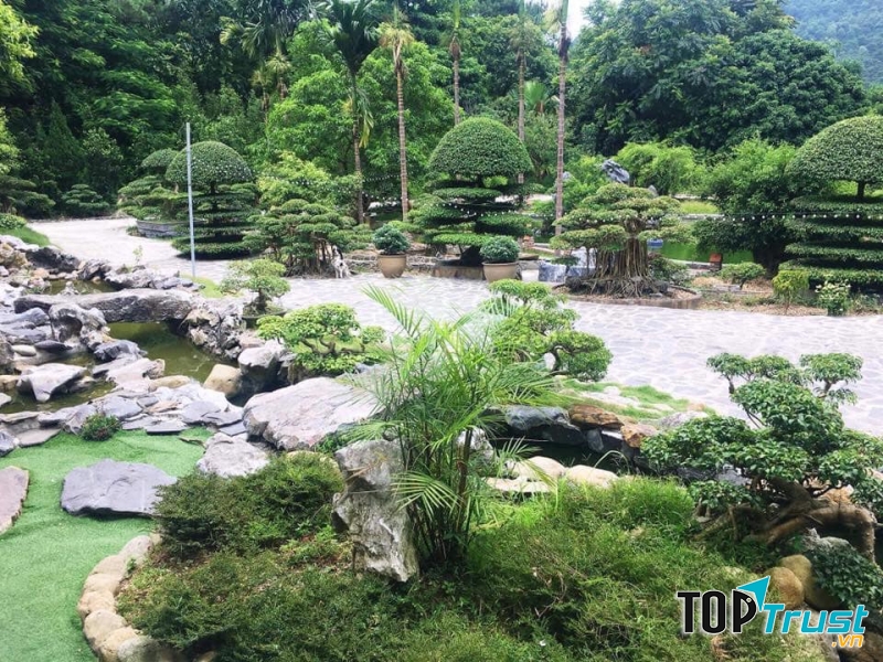 Rừng Thông Xanh Resort