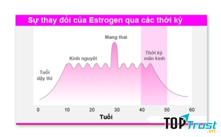 Sự thay đổi nội tiết tố đột ngột là nguyên nhân rụng tóc