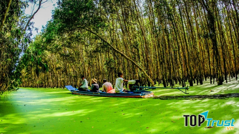Rừng tràm Trà Sư - An Giang.