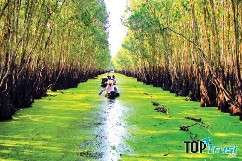 Rừng tràm Trà Sư