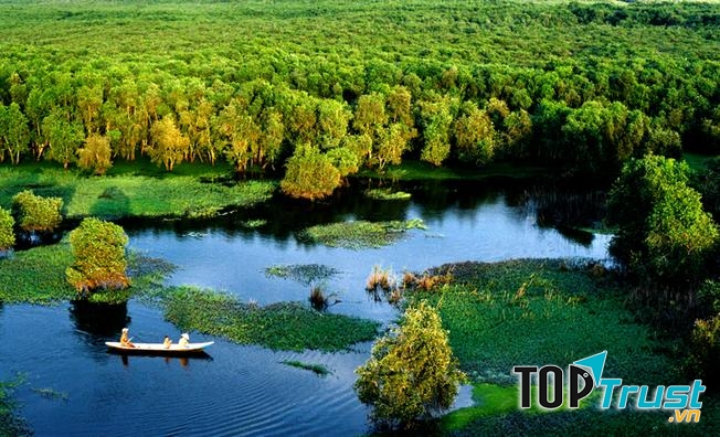 Rừng Tràm Trà Sư