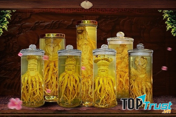 Sâm được ngâm sẵn trong hũ