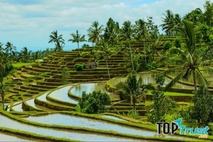 Ruộng bậc thang mùa nước