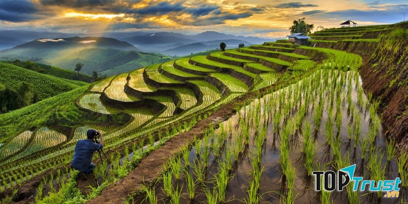 Ruộng bậc thang Chiang Mai mùa nước đổ