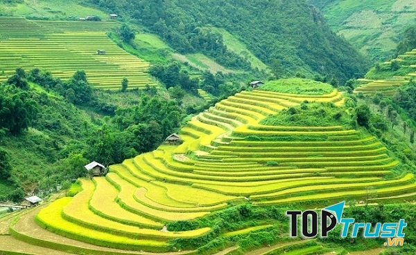 Ruộng bậc thang Hoàng Su Phì
